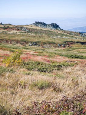Bulgaristan 'ın Cherni Vrah zirvesi yakınlarındaki Vitosha Dağı' nın şaşırtıcı sonbahar manzarası