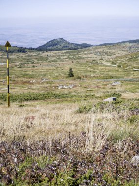 Bulgaristan 'ın Cherni Vrah zirvesi yakınlarındaki Vitosha Dağı' nın şaşırtıcı sonbahar manzarası