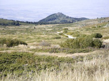 Bulgaristan 'ın Cherni Vrah zirvesi yakınlarındaki Vitosha Dağı' nın şaşırtıcı sonbahar manzarası
