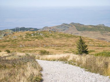 Bulgaristan 'ın Cherni Vrah zirvesi yakınlarındaki Vitosha Dağı' nın şaşırtıcı sonbahar manzarası