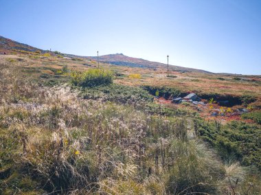 Bulgaristan 'ın Cherni Vrah zirvesi yakınlarındaki Vitosha Dağı' nın şaşırtıcı sonbahar manzarası