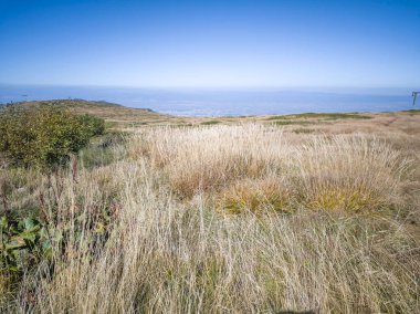Bulgaristan 'ın Cherni Vrah zirvesi yakınlarındaki Vitosha Dağı' nın şaşırtıcı sonbahar manzarası
