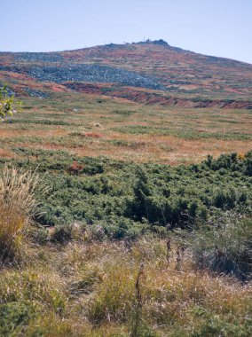Bulgaristan 'ın Cherni Vrah zirvesi yakınlarındaki Vitosha Dağı' nın şaşırtıcı sonbahar manzarası