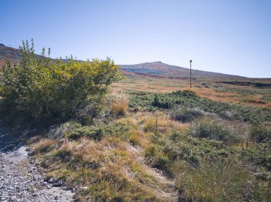 Bulgaristan 'ın Cherni Vrah zirvesi yakınlarındaki Vitosha Dağı' nın şaşırtıcı sonbahar manzarası