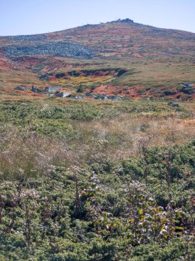 Bulgaristan 'ın Cherni Vrah zirvesi yakınlarındaki Vitosha Dağı' nın şaşırtıcı sonbahar manzarası