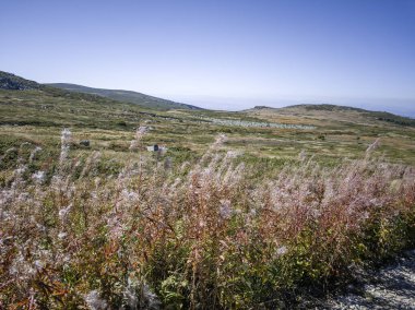 Bulgaristan 'ın Cherni Vrah zirvesi yakınlarındaki Vitosha Dağı' nın şaşırtıcı sonbahar manzarası