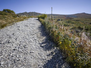 Bulgaristan 'ın Cherni Vrah zirvesi yakınlarındaki Vitosha Dağı' nın şaşırtıcı sonbahar manzarası