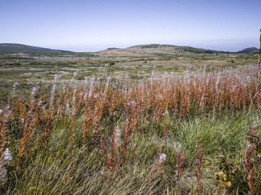 Bulgaristan 'ın Cherni Vrah zirvesi yakınlarındaki Vitosha Dağı' nın şaşırtıcı sonbahar manzarası