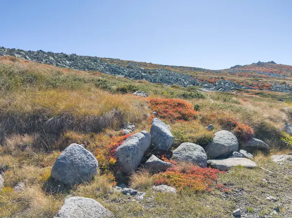 Bulgaristan 'ın Cherni Vrah zirvesi yakınlarındaki Vitosha Dağı' nın şaşırtıcı sonbahar manzarası