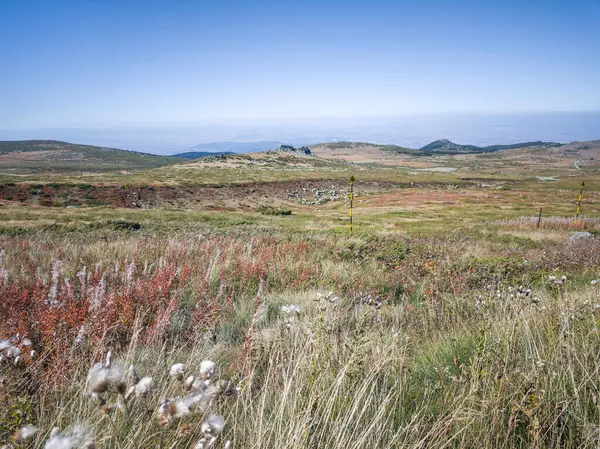 Bulgaristan 'ın Cherni Vrah zirvesi yakınlarındaki Vitosha Dağı' nın şaşırtıcı sonbahar manzarası