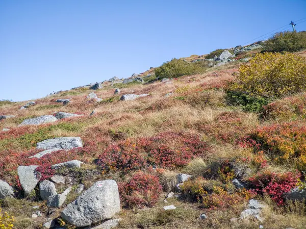 Bulgaristan 'ın Cherni Vrah zirvesi yakınlarındaki Vitosha Dağı' nın şaşırtıcı sonbahar manzarası