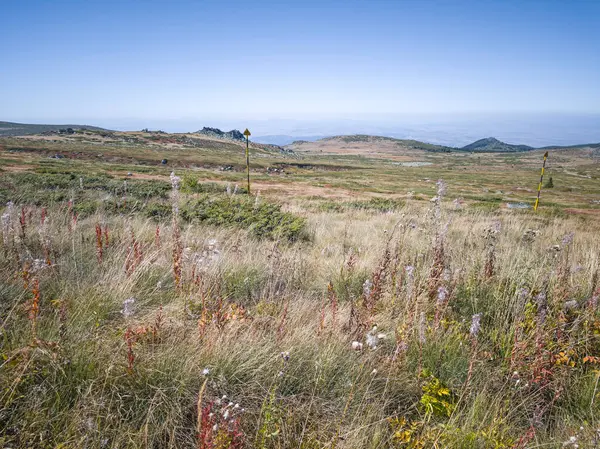 Bulgaristan 'ın Cherni Vrah zirvesi yakınlarındaki Vitosha Dağı' nın şaşırtıcı sonbahar manzarası