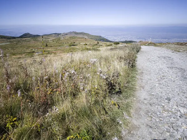 Bulgaristan 'ın Cherni Vrah zirvesi yakınlarındaki Vitosha Dağı' nın şaşırtıcı sonbahar manzarası