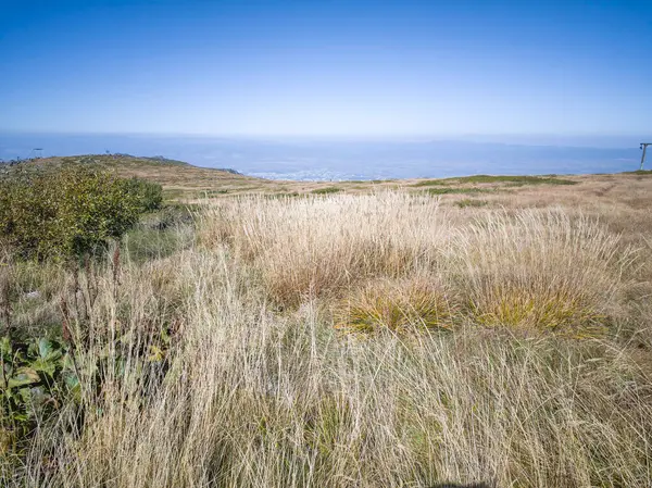 Bulgaristan 'ın Cherni Vrah zirvesi yakınlarındaki Vitosha Dağı' nın şaşırtıcı sonbahar manzarası