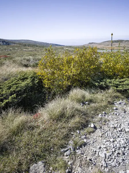 Bulgaristan 'ın Cherni Vrah zirvesi yakınlarındaki Vitosha Dağı' nın şaşırtıcı sonbahar manzarası