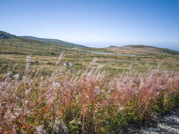 Bulgaristan 'ın Cherni Vrah zirvesi yakınlarındaki Vitosha Dağı' nın şaşırtıcı sonbahar manzarası