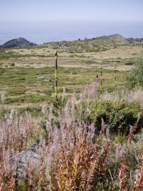 Bulgaristan 'ın Cherni Vrah zirvesi yakınlarındaki Vitosha Dağı' nın şaşırtıcı sonbahar manzarası
