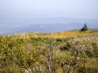 Bulgaristan 'ın Cherni Vrah zirvesi yakınlarındaki Vitosha Dağı' nın şaşırtıcı sonbahar manzarası