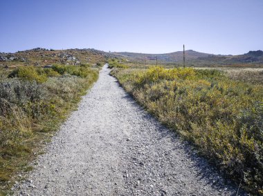 Bulgaristan 'ın Cherni Vrah zirvesi yakınlarındaki Vitosha Dağı' nın şaşırtıcı sonbahar manzarası