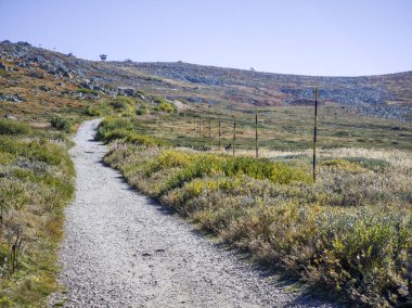 Bulgaristan 'ın Cherni Vrah zirvesi yakınlarındaki Vitosha Dağı' nın şaşırtıcı sonbahar manzarası
