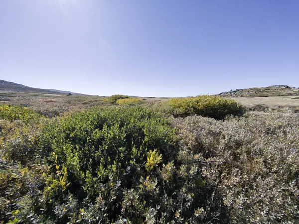 Bulgaristan 'ın Cherni Vrah zirvesi yakınlarındaki Vitosha Dağı' nın şaşırtıcı sonbahar manzarası
