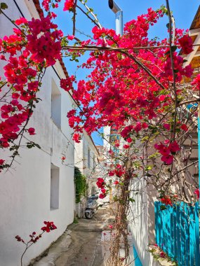 Eski Skiathos, Sporades, Thessaly, Yunanistan 'ın muhteşem manzarası