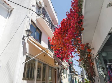 Eski Skiathos, Sporades, Thessaly, Yunanistan 'ın muhteşem manzarası