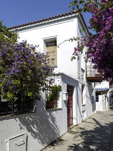 Eski Skiathos, Sporades, Thessaly, Yunanistan 'ın muhteşem manzarası