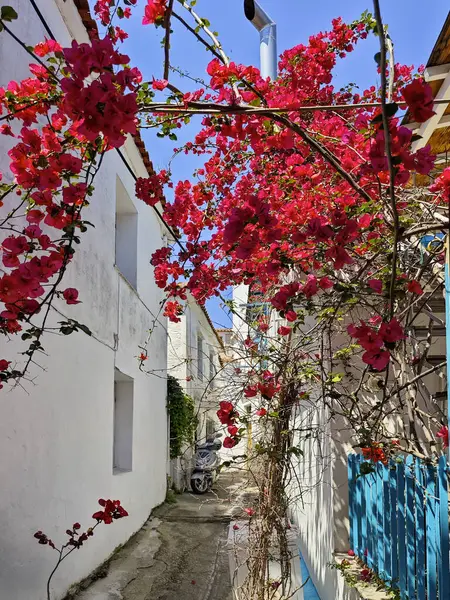 Eski Skiathos, Sporades, Thessaly, Yunanistan 'ın muhteşem manzarası