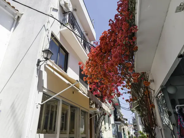 Eski Skiathos, Sporades, Thessaly, Yunanistan 'ın muhteşem manzarası