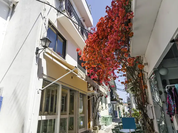 Eski Skiathos, Sporades, Thessaly, Yunanistan 'ın muhteşem manzarası