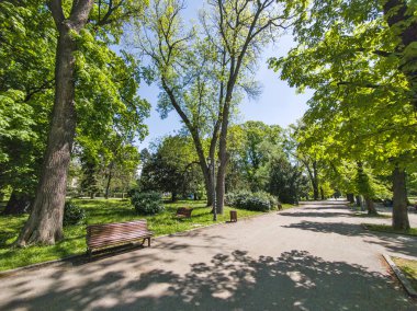 Bulgaristan 'ın Sofya kentindeki Borisova gradina (Boris Garden)' ın İnanılmaz Baharı