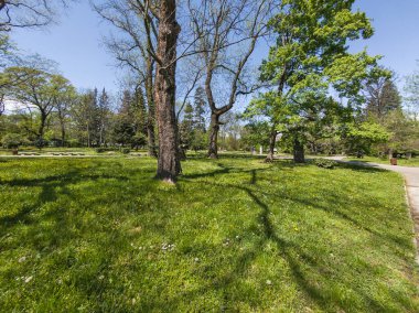 Bulgaristan 'ın Sofya kentindeki Borisova gradina (Boris Garden)' ın İnanılmaz Baharı