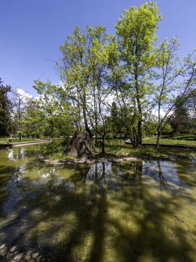 Bulgaristan 'ın Sofya kentindeki Borisova gradina (Boris Garden)' ın İnanılmaz Baharı