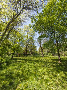 Bulgaristan 'ın Sofya kentindeki Borisova gradina (Boris Garden)' ın İnanılmaz Baharı
