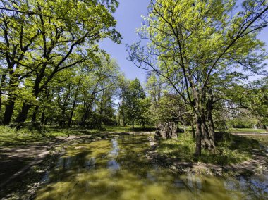 Bulgaristan 'ın Sofya kentindeki Borisova gradina (Boris Garden)' ın İnanılmaz Baharı