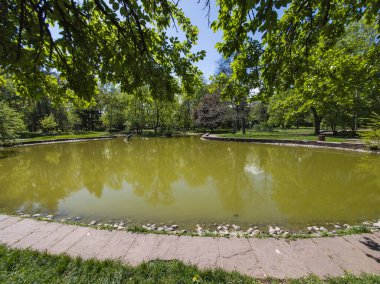 Bulgaristan 'ın Sofya kentindeki Borisova gradina (Boris Garden)' ın İnanılmaz Baharı