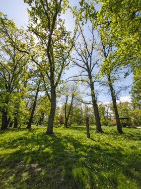 Bulgaristan 'ın Sofya kentindeki Borisova gradina (Boris Garden)' ın İnanılmaz Baharı