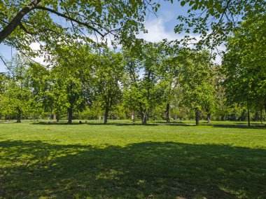 Bulgaristan 'ın Sofya kentindeki Borisova gradina (Boris Garden)' ın İnanılmaz Baharı