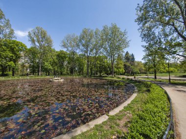 Bulgaristan 'ın Sofya kentindeki Borisova gradina (Boris Garden)' ın İnanılmaz Baharı