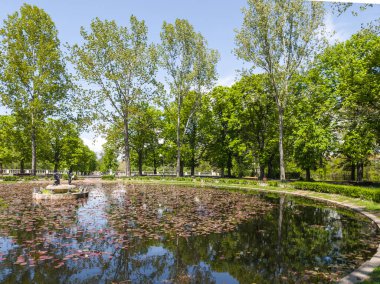 Bulgaristan 'ın Sofya kentindeki Borisova gradina (Boris Garden)' ın İnanılmaz Baharı