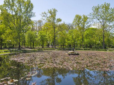 Bulgaristan 'ın Sofya kentindeki Borisova gradina (Boris Garden)' ın İnanılmaz Baharı