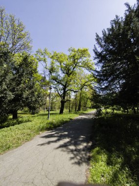 Bulgaristan 'ın Sofya kentindeki Borisova gradina (Boris Garden)' ın İnanılmaz Baharı