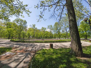 Bulgaristan 'ın Sofya kentindeki Borisova gradina (Boris Garden)' ın İnanılmaz Baharı