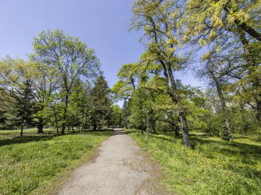 Bulgaristan 'ın Sofya kentindeki Borisova gradina (Boris Garden)' ın İnanılmaz Baharı