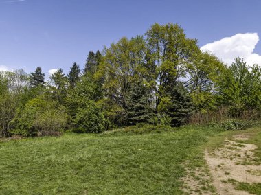 Bulgaristan 'ın Sofya kentindeki Borisova gradina (Boris Garden)' ın İnanılmaz Baharı