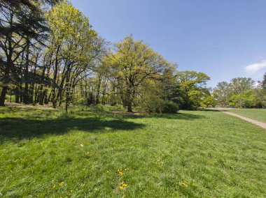 Bulgaristan 'ın Sofya kentindeki Borisova gradina (Boris Garden)' ın İnanılmaz Baharı