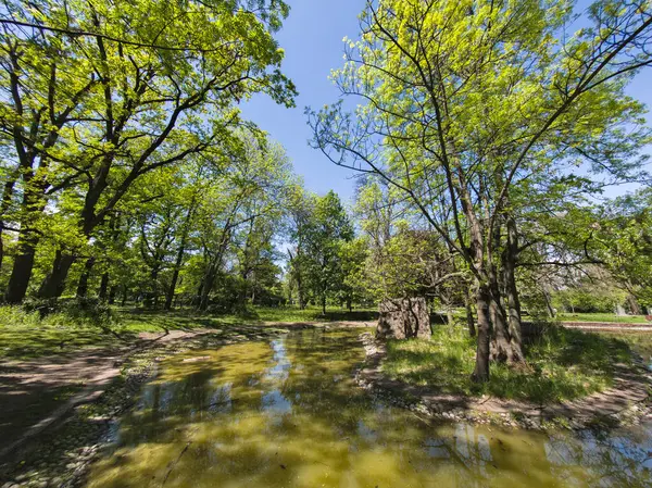 Bulgaristan 'ın Sofya kentindeki Borisova gradina (Boris Garden)' ın İnanılmaz Baharı