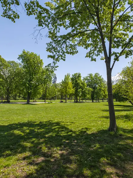Bulgaristan 'ın Sofya kentindeki Borisova gradina (Boris Garden)' ın İnanılmaz Baharı