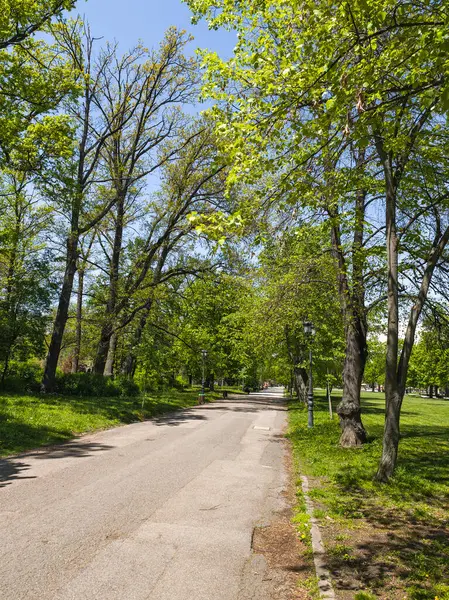 Bulgaristan 'ın Sofya kentindeki Borisova gradina (Boris Garden)' ın İnanılmaz Baharı